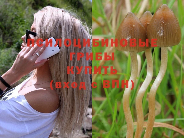 соль курить ск Нягань