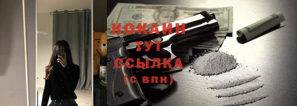 apvp Няндома