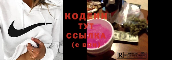 apvp Няндома