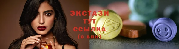 apvp Няндома